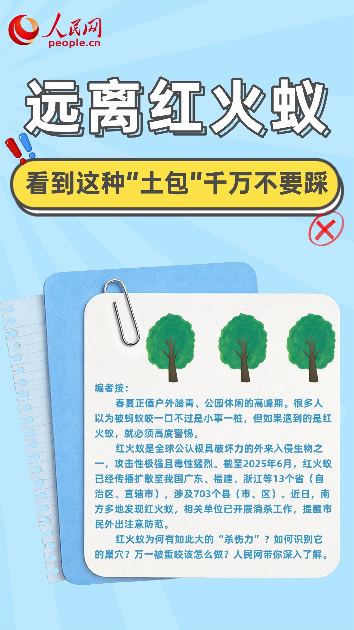 远离红火蚁 看到这种“土包”千万不要踩
