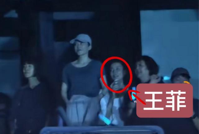 谢霆锋演唱会现场，王菲的举动有谁懂?