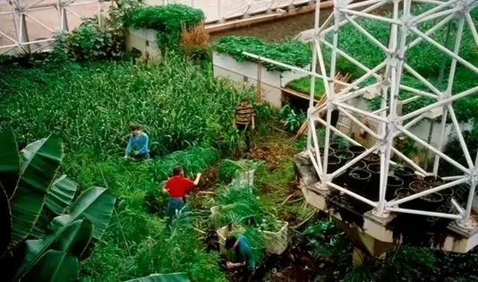 1991�꣬��������һ��ʵ�飬��4��4Ů����һ�����꣬�����Σ�