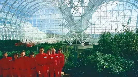 1991�꣬��������һ��ʵ�飬��4��4Ů����һ�����꣬�����Σ�