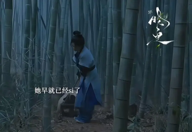 《莫离》：看穿青霜和何师兄的真相，才知道，离山书院已被灭门