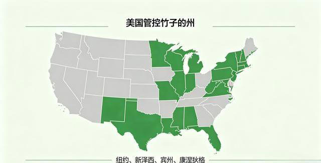 中国竹产业破5200亿 散生竹为何成入侵物种