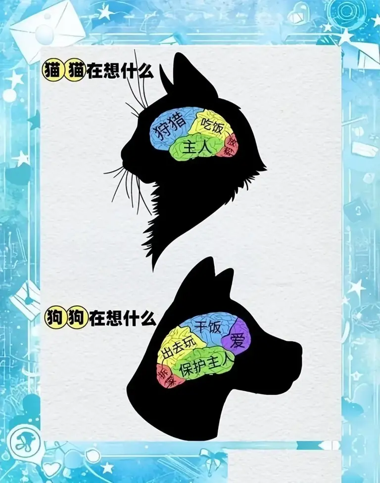 细思极恐!为什么猫狗能看见“脏东西”而人不能?第三只眼的秘密
