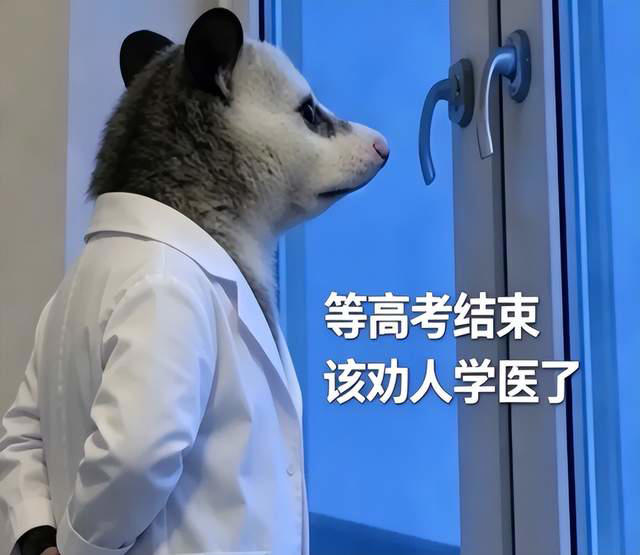 月入过万的高考志愿师，被千问扯碎了遮羞布