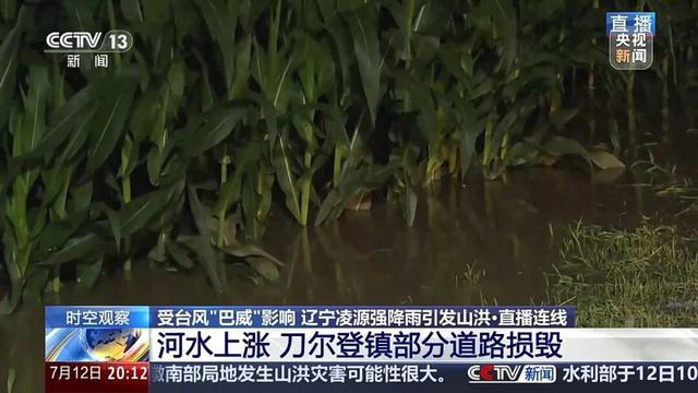 受东北冷涡和“巴威”影响，辽宁凌源遭强降雨，现场直击：大桥被淹没、玉米泡水1米深