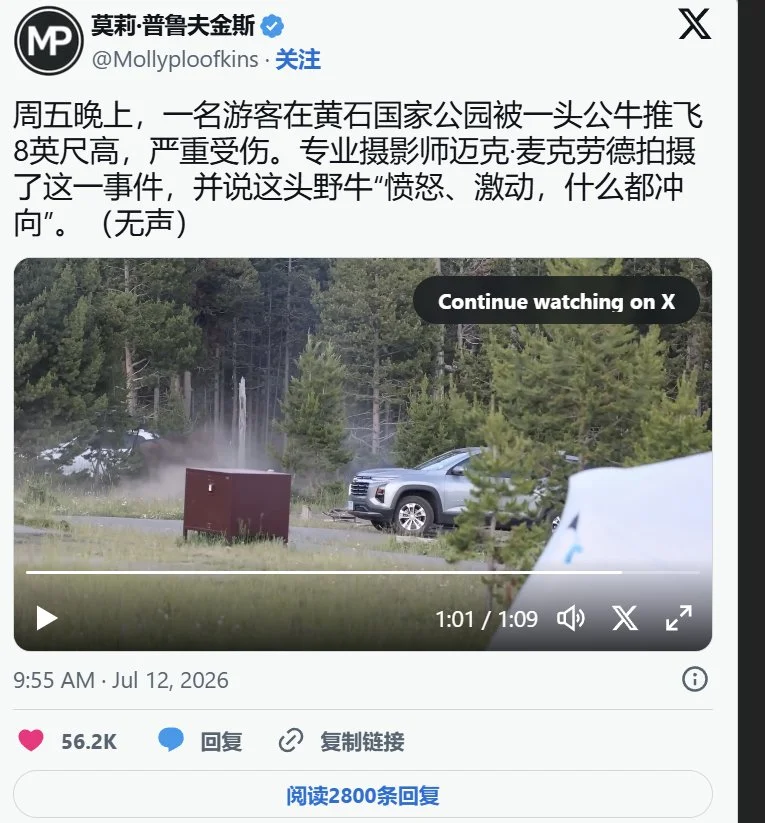 黄石公园野牛无故袭击游客，六旬游客被撞飞，造成重伤 