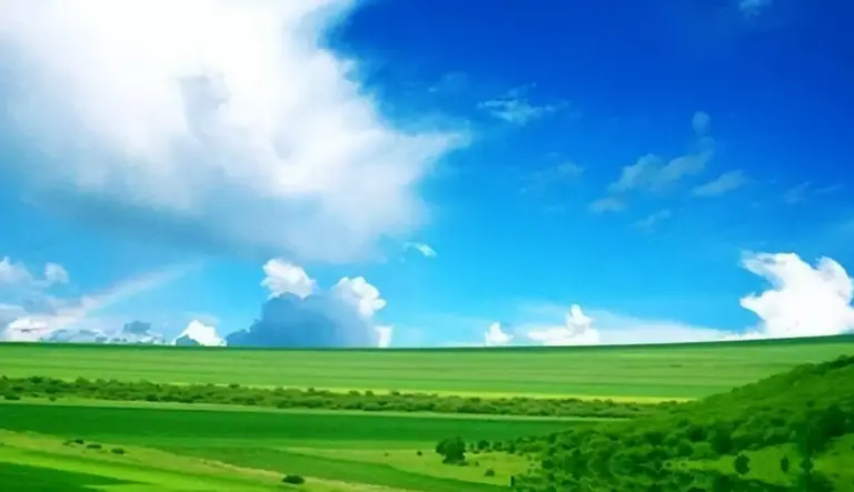 为什么草原上只有草，而没有大树呢？是什么锁住了植物的生长？