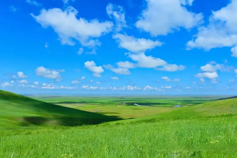 为什么草原上只有草，而没有大树呢？是什么锁住了植物的生长？