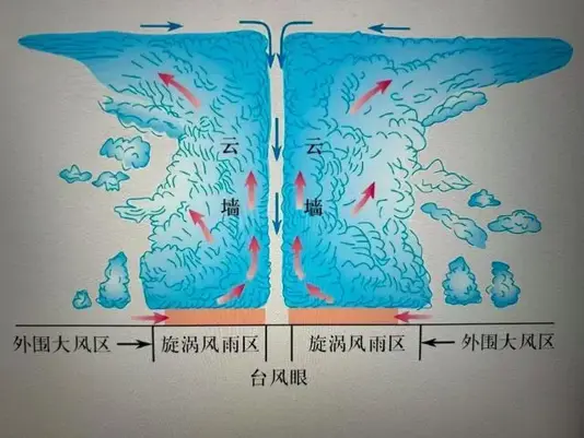 台风威力那么大，为什么它们只要一靠近赤道，就会神秘地自动消失