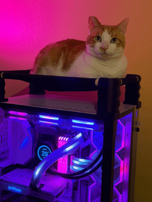 小猫爱趴主机睡觉有大危险! 女玩家自制“吊床”补救