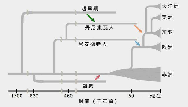 现代人的DNA里，藏着“幽灵祖先”的痕迹
