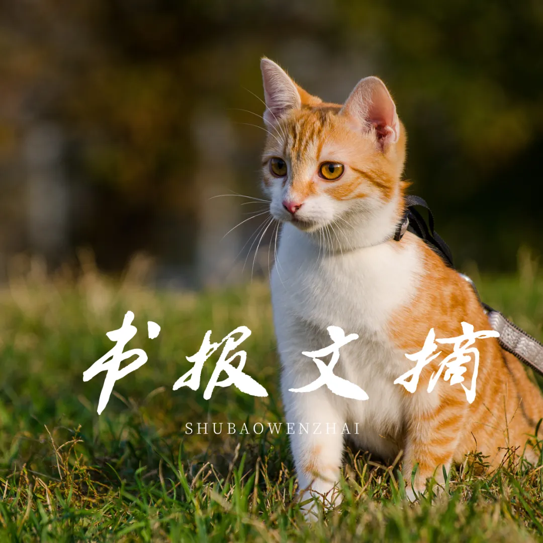 越是不合群的人，越值得深交