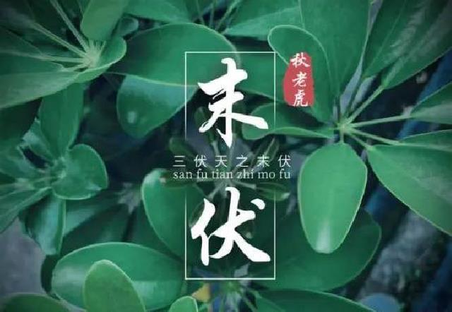 末伏十天后高温会消失吗，处暑同日却持续到白露