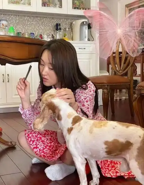 54������Ө��״����ĸ�׶������ڣ��ں�լ�ֲ�������⣬��δ���