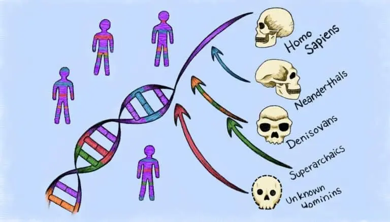 人类DNA里藏着两个神秘祖先，占基因1%，科学家刚发现