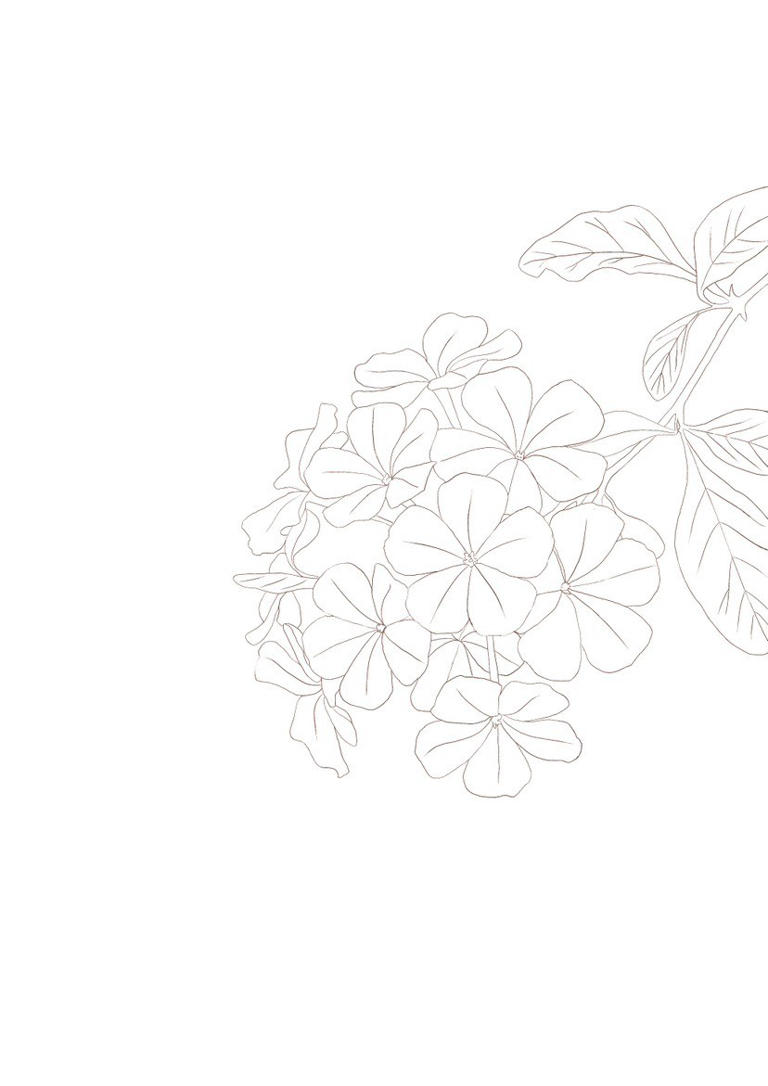清蓝花笺时光