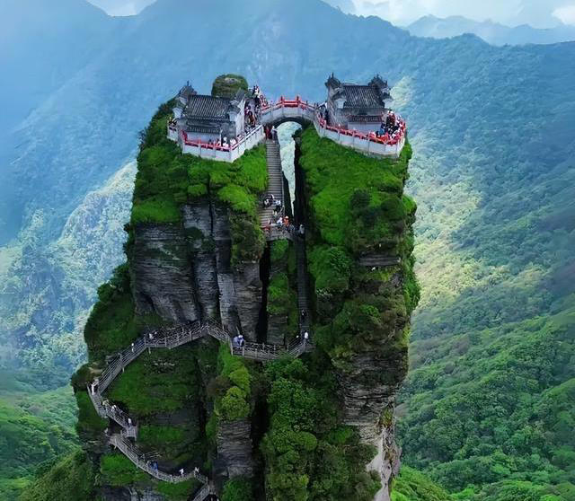 全球仅梵净山一处! 两年发现红柄怪草，新种竟长着毒汁!