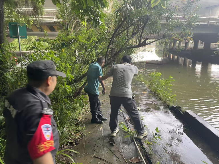 事发伦教! 八旬翁坠河遇险，民警火速救援