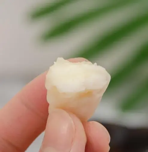 肉质肥厚，粉糯清甜，煲汤煮粥皆美味，一口尝尽“水中落花生”的鲜美