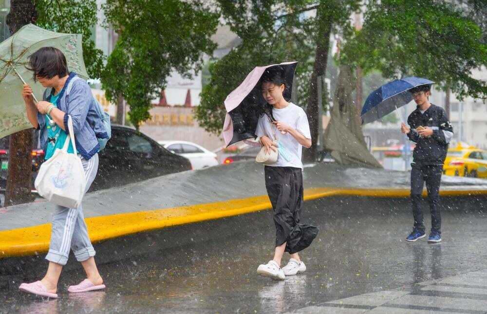 广东局地发布“停课信号”!“紫檀”最快今晚登陆或擦过雷州半岛，“沙德尔”仍在路上