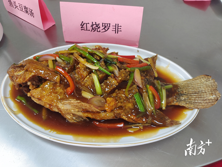 倒计时1天!解锁茂名罗非鱼游进新疆的N种打开方式