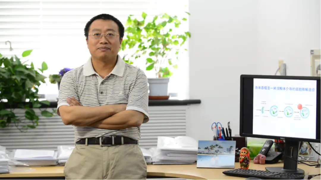 张宏院士再批“资源型科研”：很多钱花得肆无忌惮、触目惊心