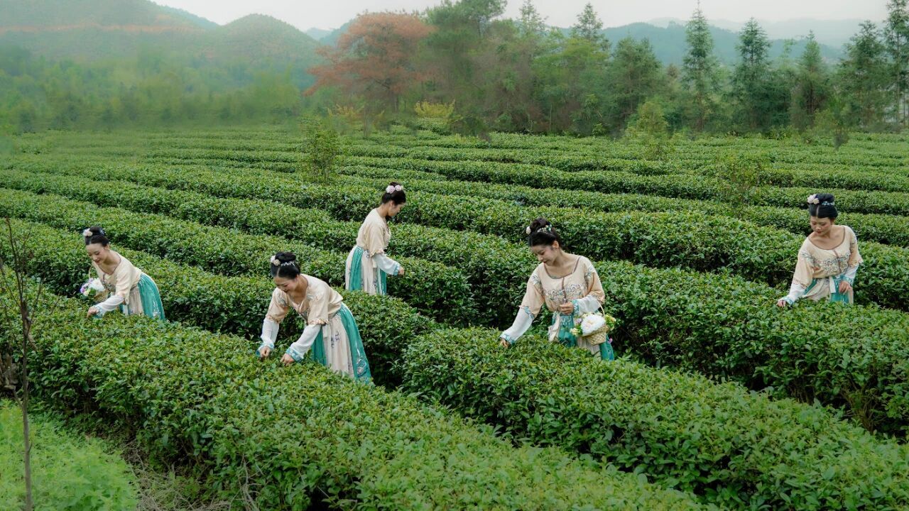 乡村文旅热度攀升的三大观察