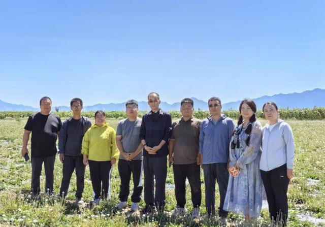 假的？橡胶草的“新生”能撑起中国天然橡胶这片天吗？