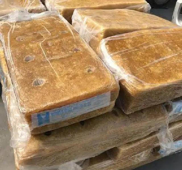 假的？橡胶草的“新生”能撑起中国天然橡胶这片天吗？