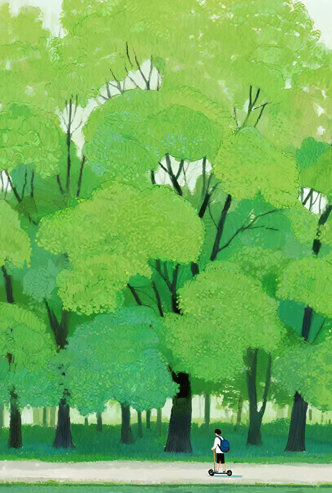 林间道，滑板与春