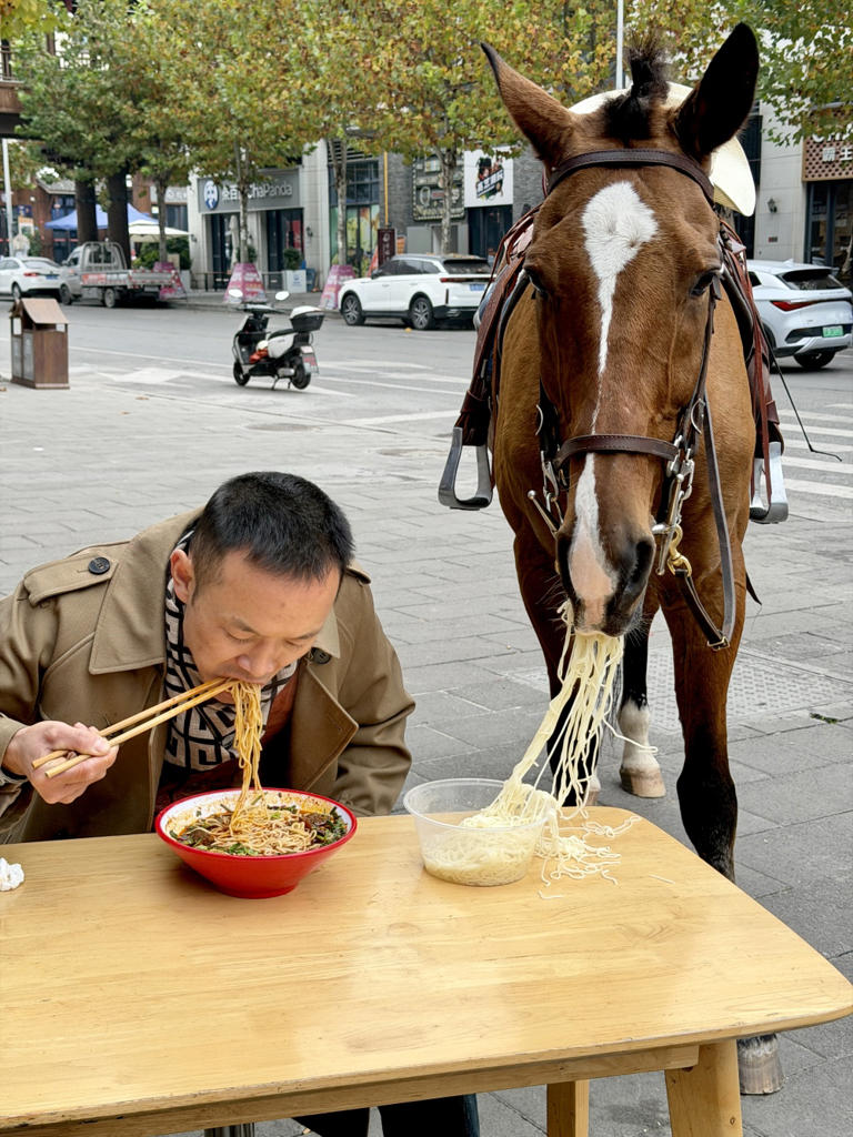 湖北一匹马进屋到桌前要米饭吃走红，主人回应：非AI，它像家人一样