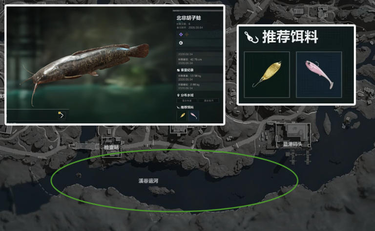 【三角洲行动】钓鱼1-50级保姆级攻略！隐藏钓点+突破任务解析！