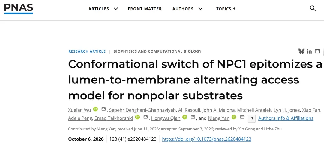 颜宁团队合作最新《PNAS》
