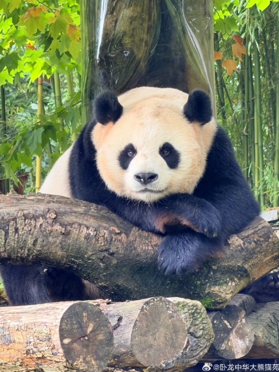 官方通报：多人被终身禁入!