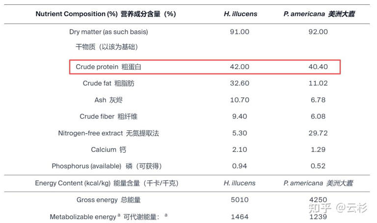 网友称可用「蟑螂粉」作为蛋白粉平替，商家还强调「野生蟑螂」，先抛开味道，这「蟑螂粉」有可能安全有效吗?