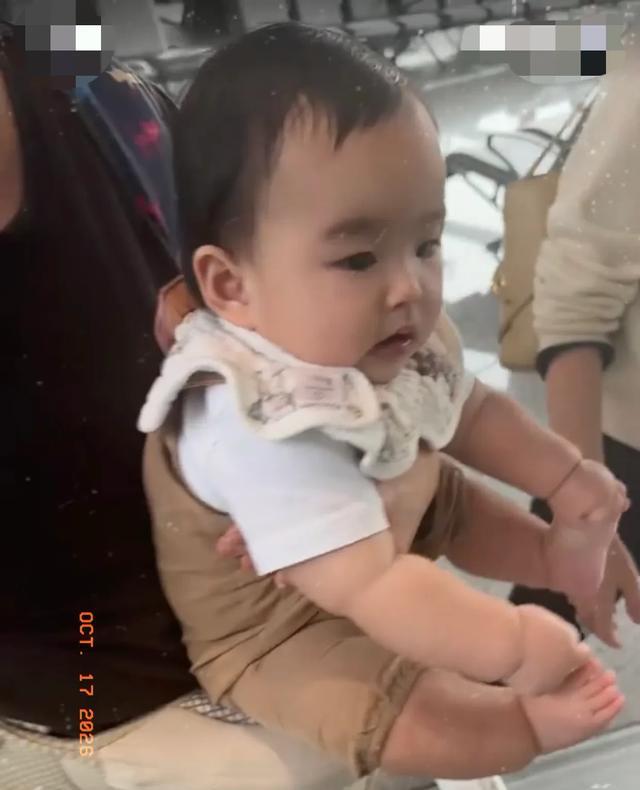 马筱梅带着汪宝陪汪小菲回台北看霖玥，汪宝乖巧可爱，情绪稳定