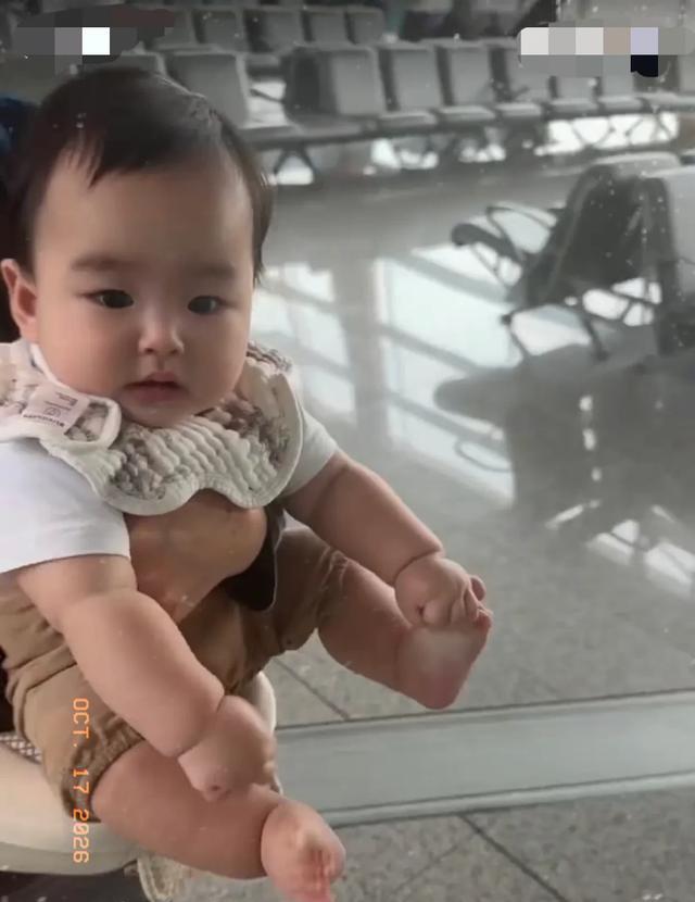 马筱梅带着汪宝陪汪小菲回台北看霖玥，汪宝乖巧可爱，情绪稳定